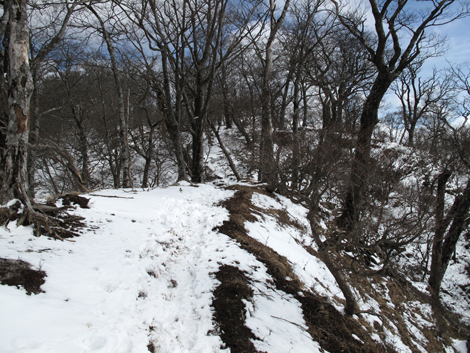 20160218hike (218)
